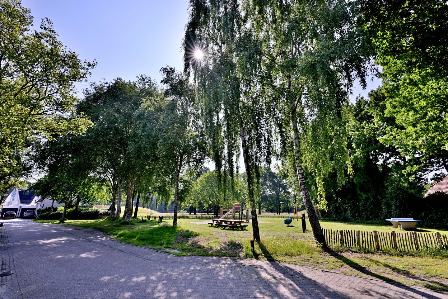 Photo 34 of Kardinaalsmuts 43