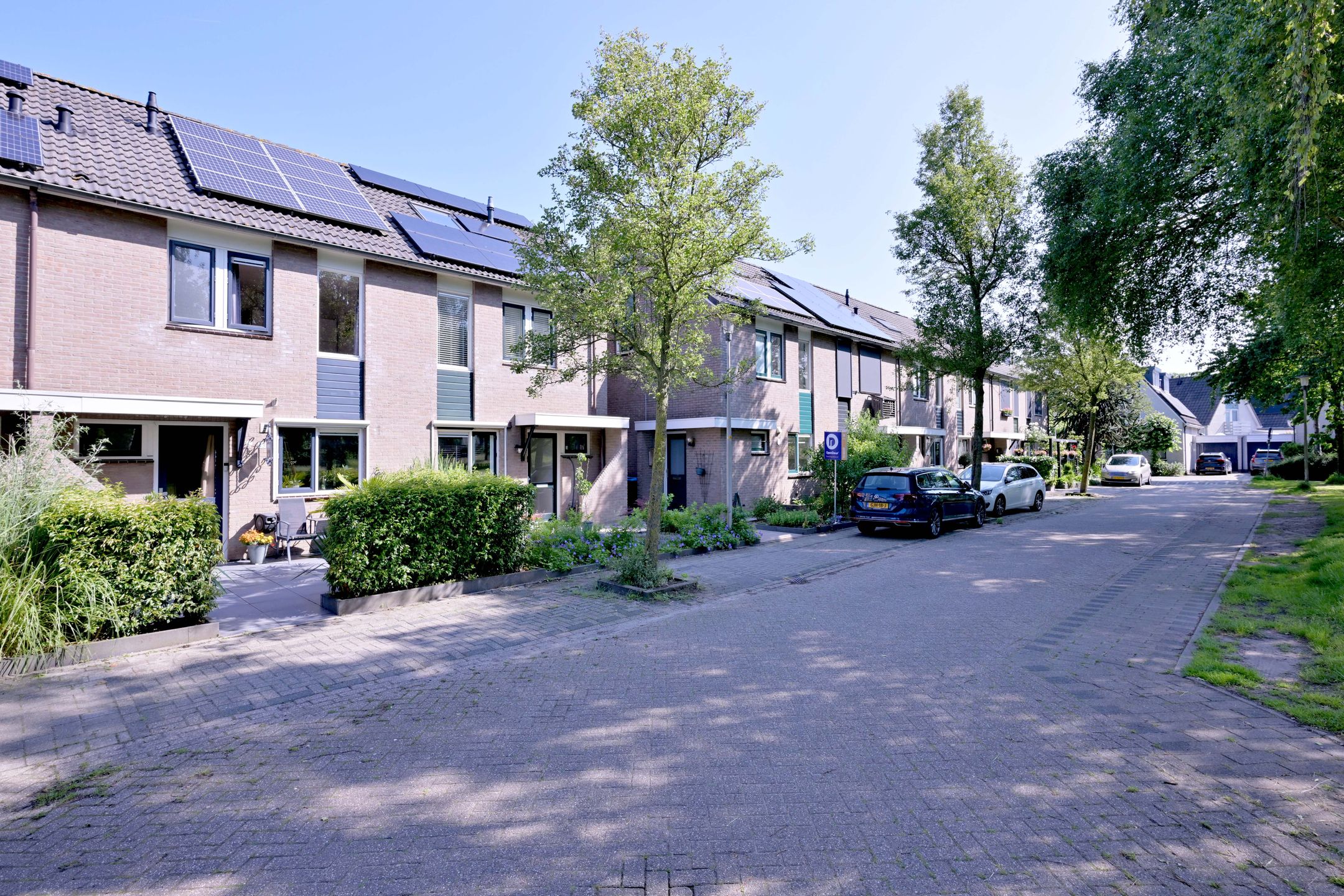 Photo 36 of Kardinaalsmuts 43