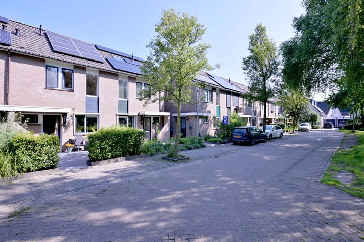 Foto 36 van Kardinaalsmuts 43