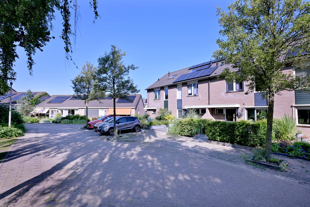 Photo 37 of Kardinaalsmuts 43