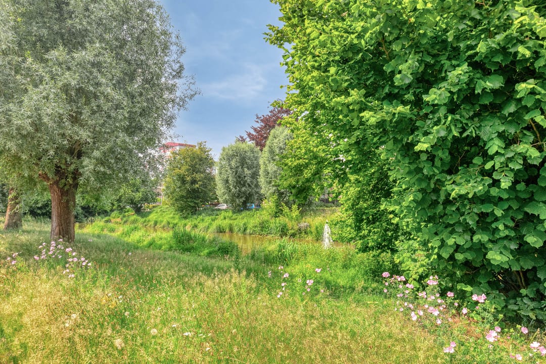 Foto 32 van Spiraeastraat 32