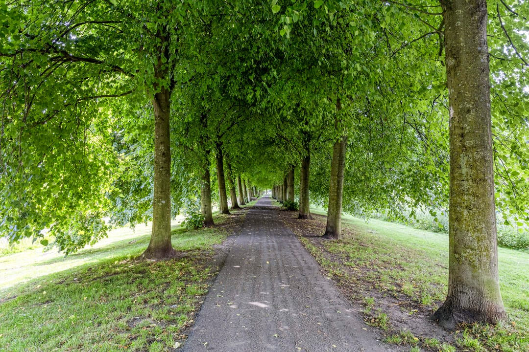 Foto 43 van Niesenoortsburgwal 34