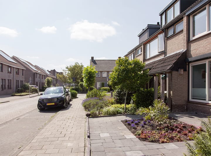 Foto 37 van Doelen 10