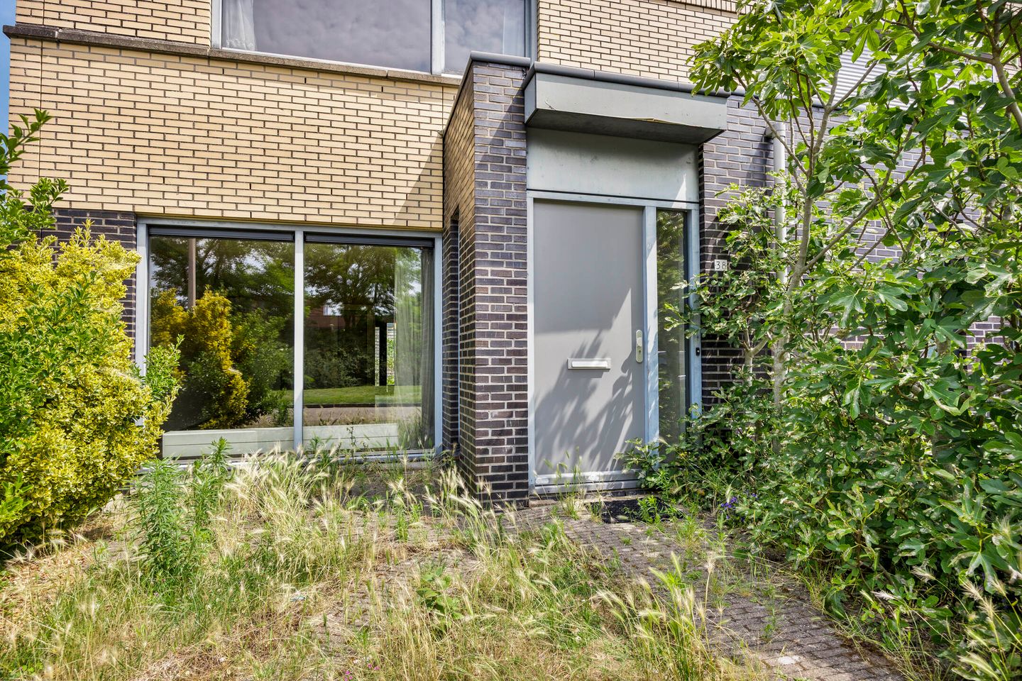 Foto 5 van Falconstraat 38