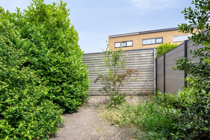 Foto 25 van Falconstraat 38