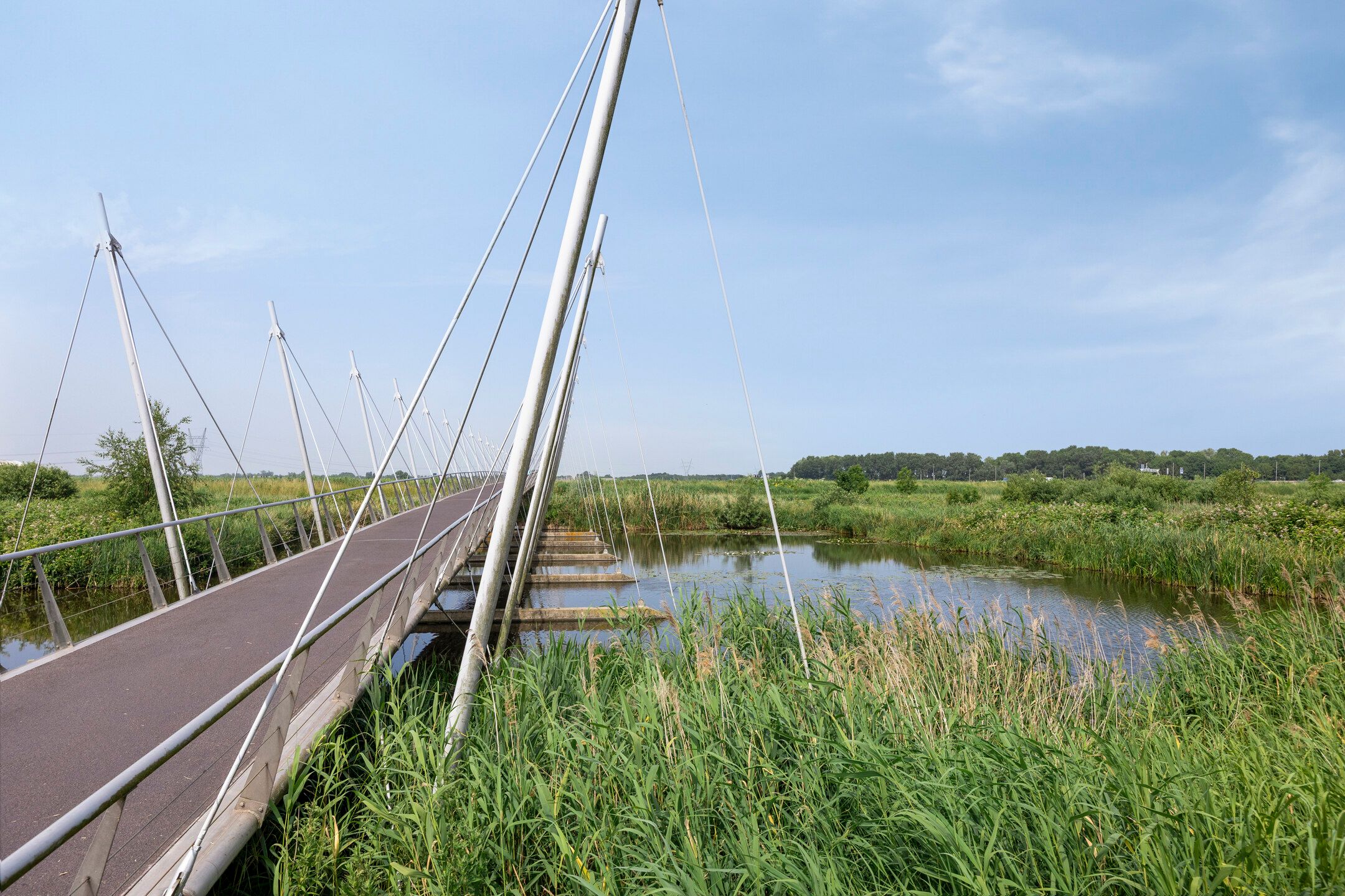 Foto 27 van Falconstraat 38