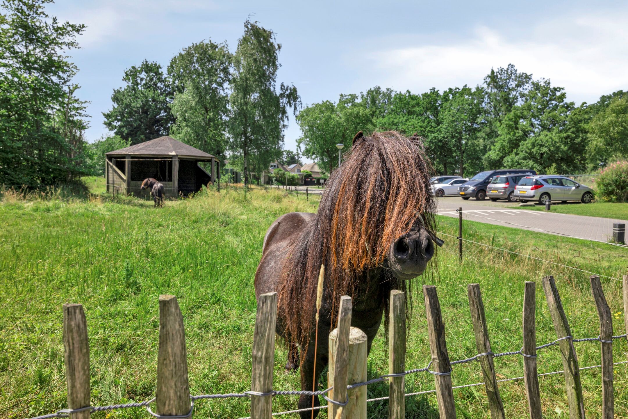 Foto 60 van Kleine Heistraat 16-K388