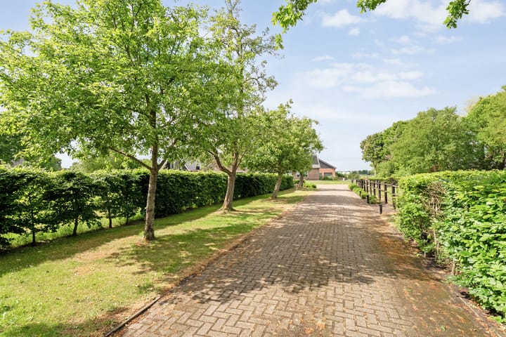 Photo 59 of Westeinde 206-A