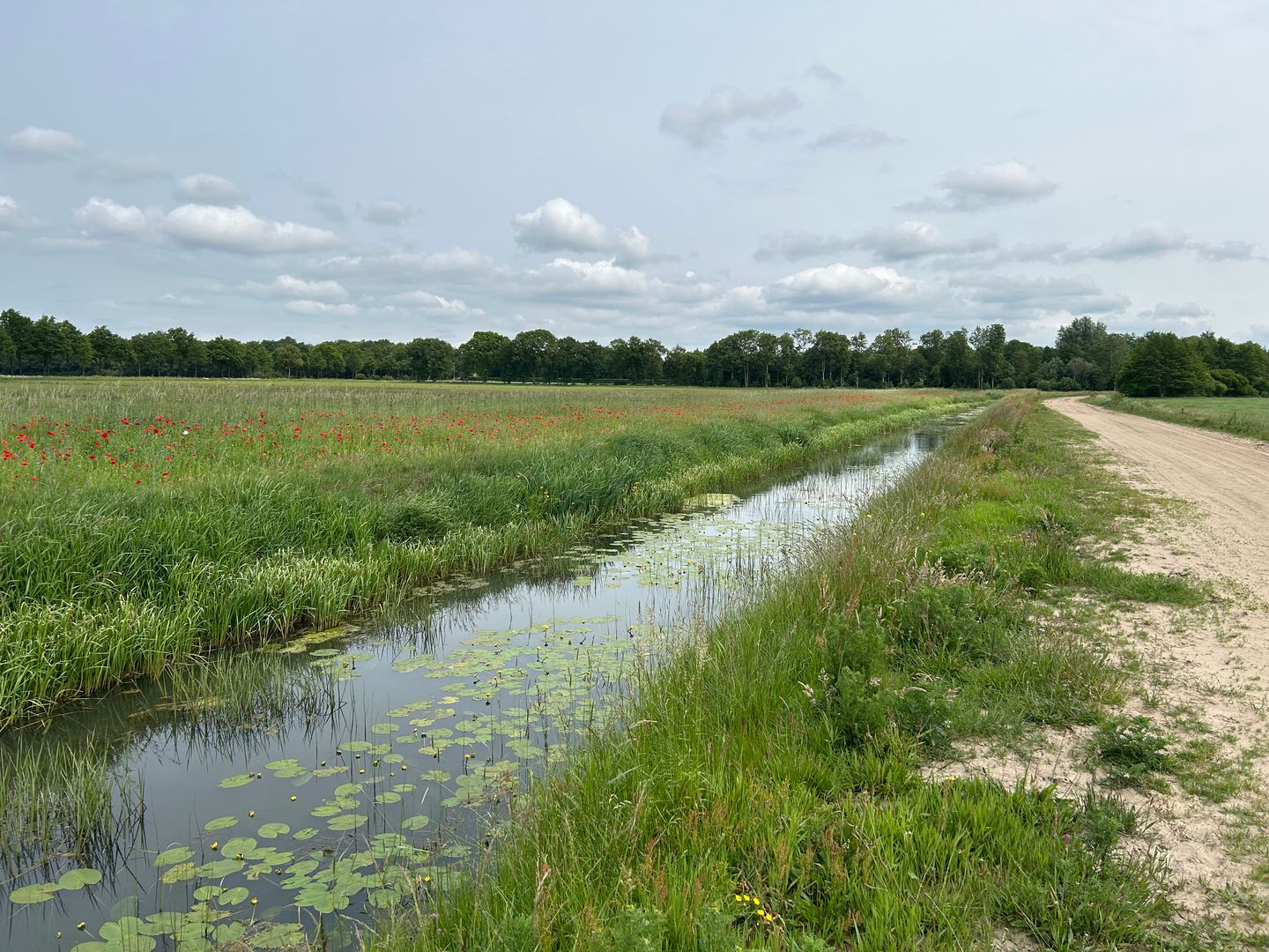 Photo 65 of Westeinde 206-A