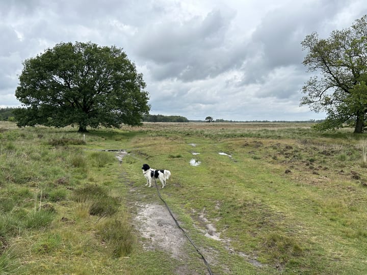 Photo 66 of Westeinde 206-A