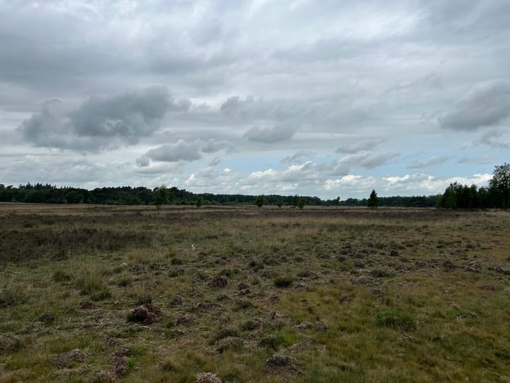 Photo 67 of Westeinde 206-A