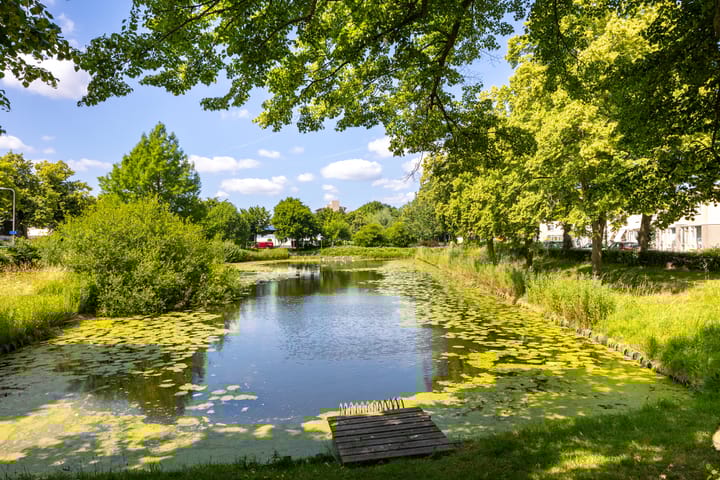 Foto 34 van Koningin Wilhelminalaan 93