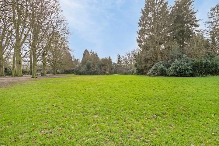 Foto 20 van Burgemeester De Withstraat 86-A