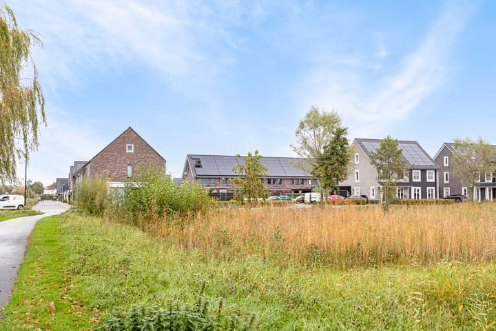 Foto 34 van Kweepeer 4