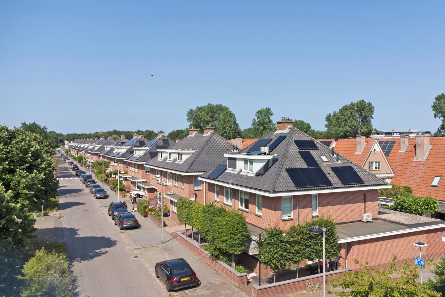 Foto 40 van Parnassia 94