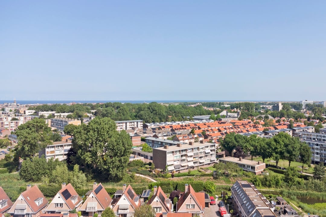 Foto 41 van Parnassia 94