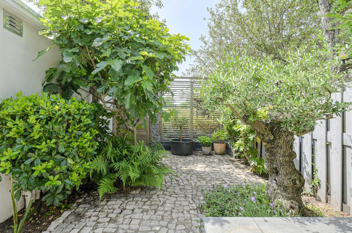 Foto 50 van Baroniestraat 18