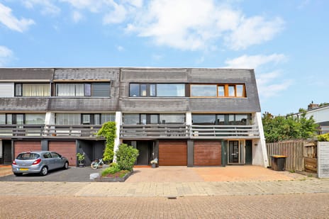 Van Reenenstraat thumbnail