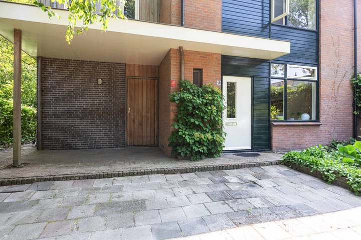 Foto 10 van Golfslag 45