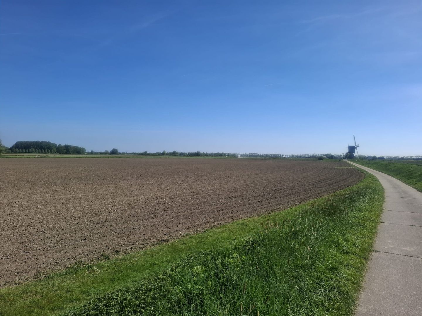 Bekijk foto 1 van Steekterweg