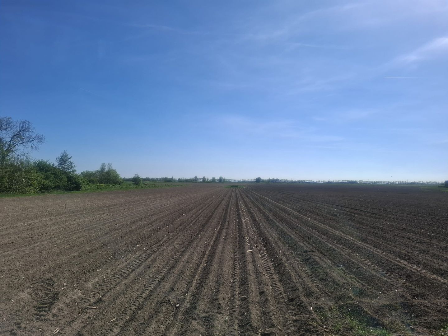 Bekijk foto 3 van Steekterweg