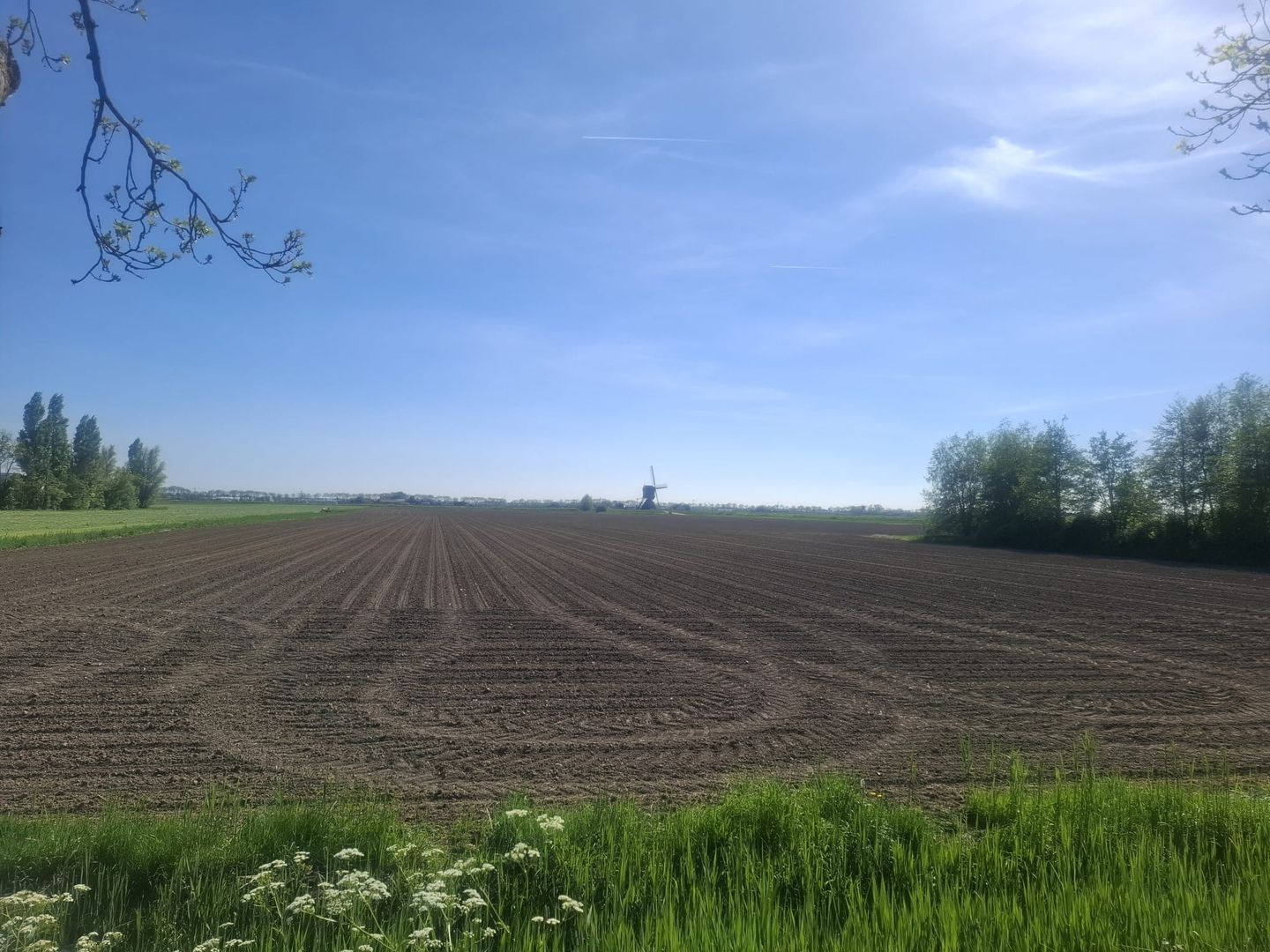 Bekijk foto 4 van Steekterweg