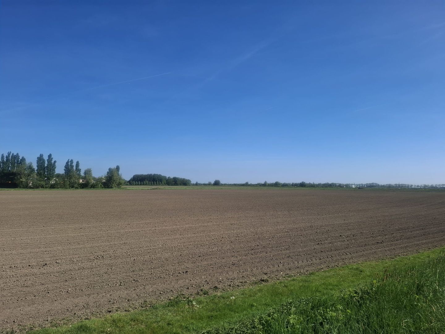 Bekijk foto 5 van Steekterweg