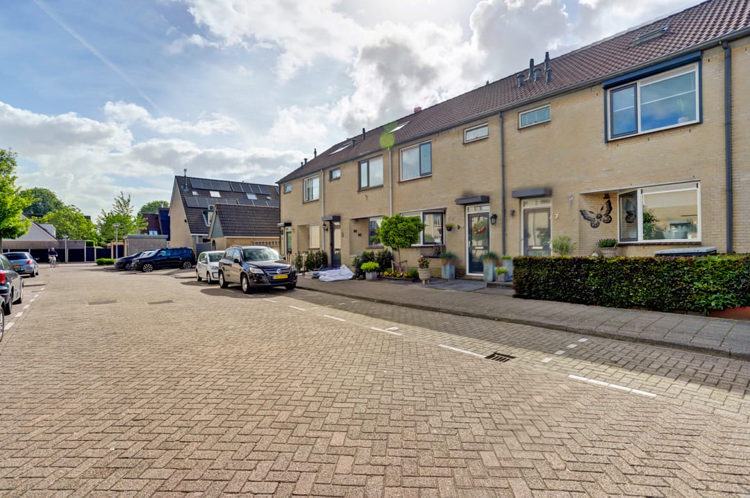 Foto 2 van Pluimzegge 7