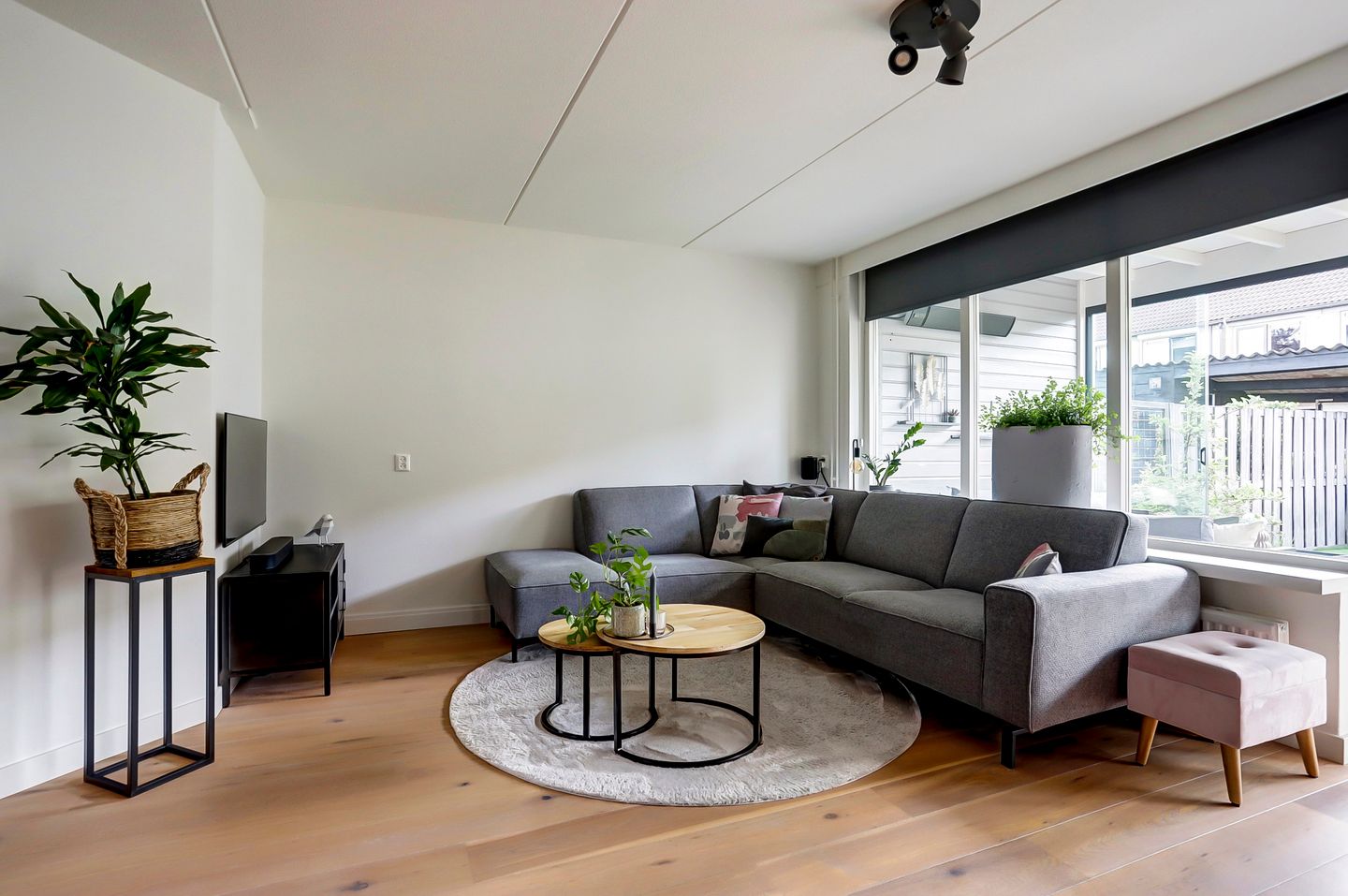 Foto 5 van Pluimzegge 7