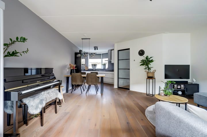 Foto 6 van Pluimzegge 7