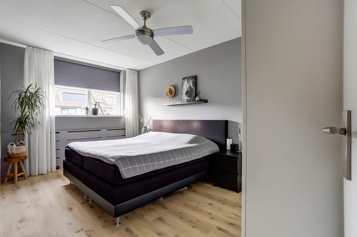 Foto 11 van Pluimzegge 7