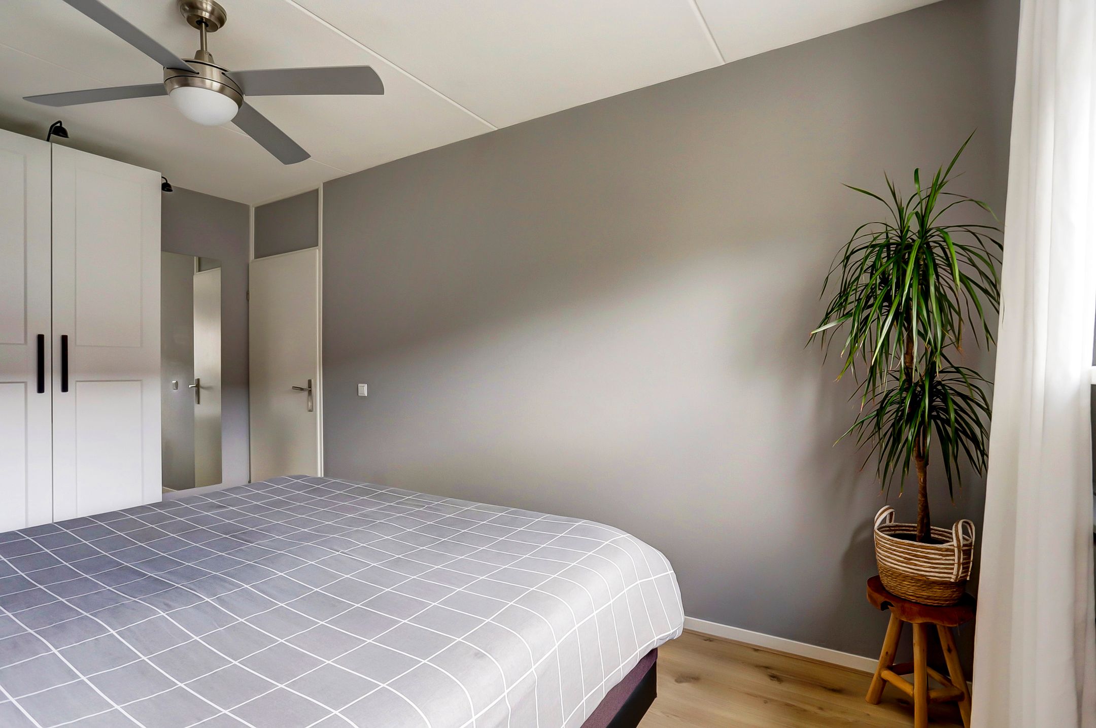 Foto 12 van Pluimzegge 7