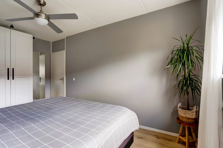 Foto 12 van Pluimzegge 7