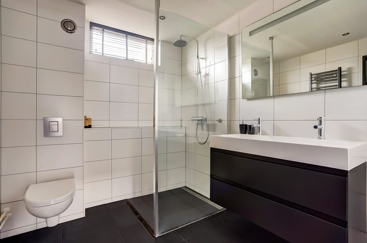 Foto 18 van Pluimzegge 7