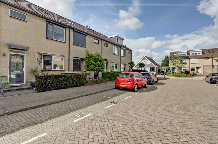 Foto 31 van Pluimzegge 7