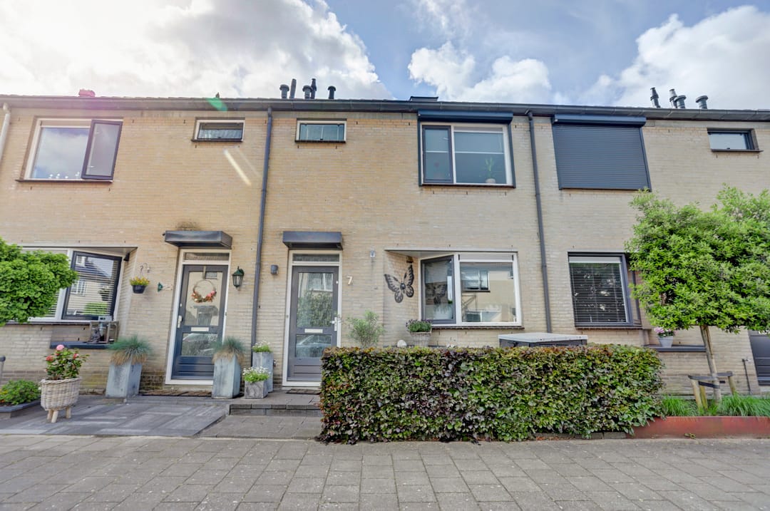 Foto 32 van Pluimzegge 7