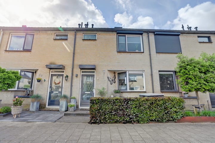 Foto 32 van Pluimzegge 7