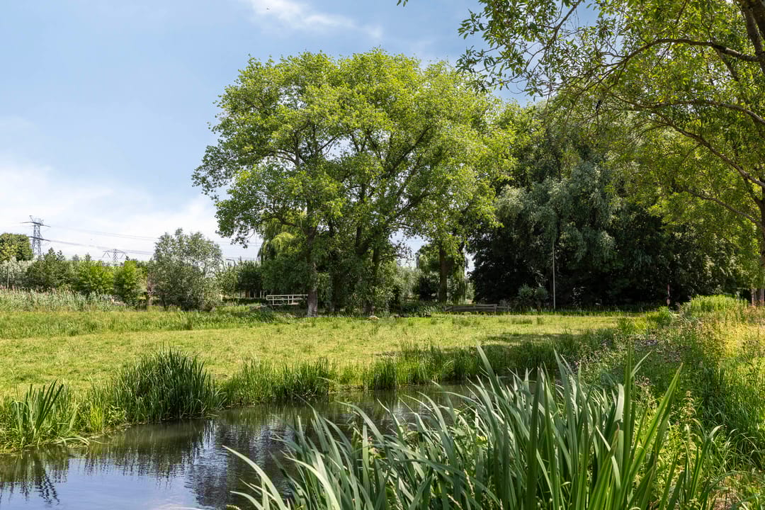 Foto 32 van Anjelier 11