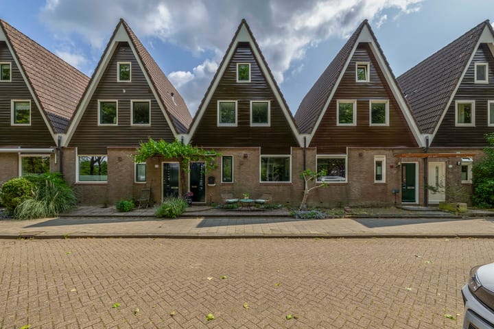 Foto 50 van Igor Stravinskisingel 26