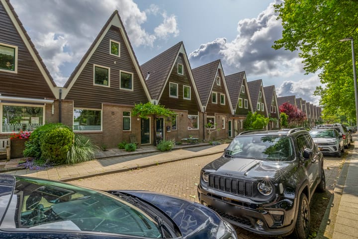 Foto 51 van Igor Stravinskisingel 26