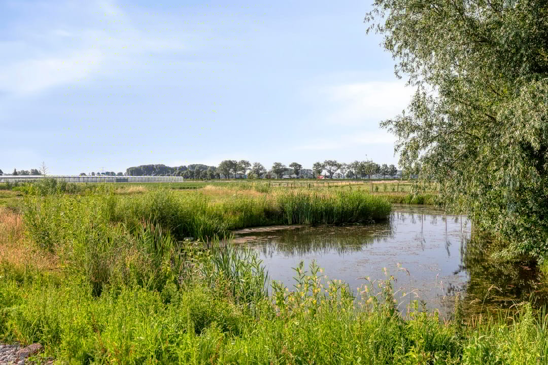 Foto 26 van C.A. Filipsonstraat 17