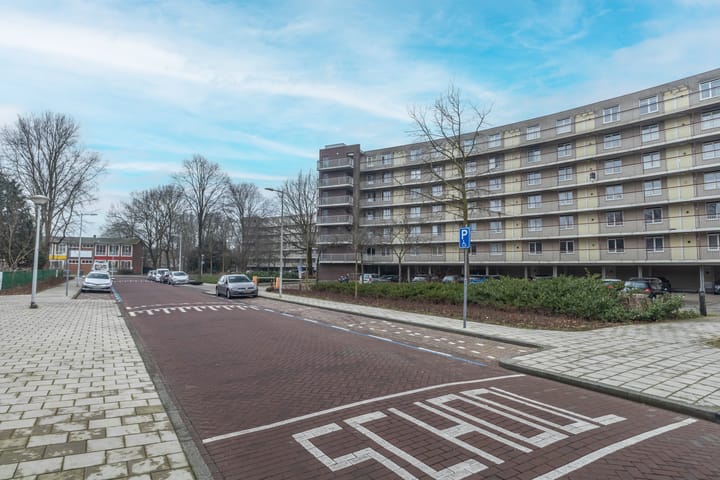 Foto 25 van Adolphine Eduardine Kokplantsoen 79