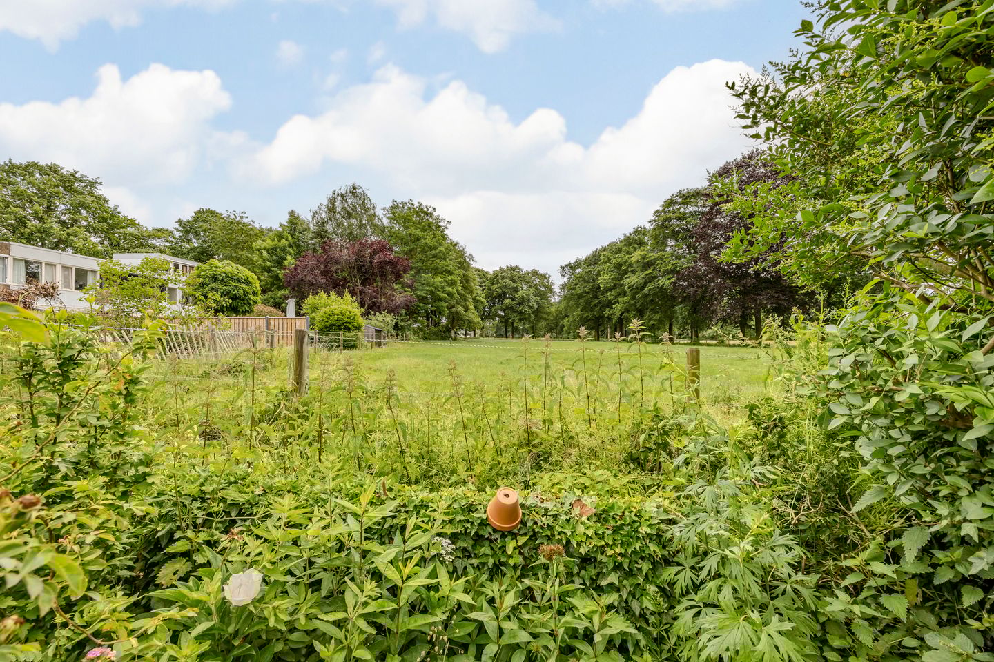 Foto 35 van Waleweinlaan 41