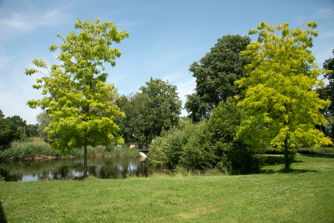 Foto 32 van Nieuwenhuisstraat 12