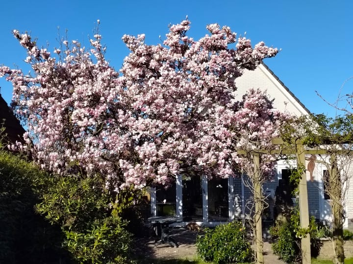 Photo 38 of Wemeweg 19-A