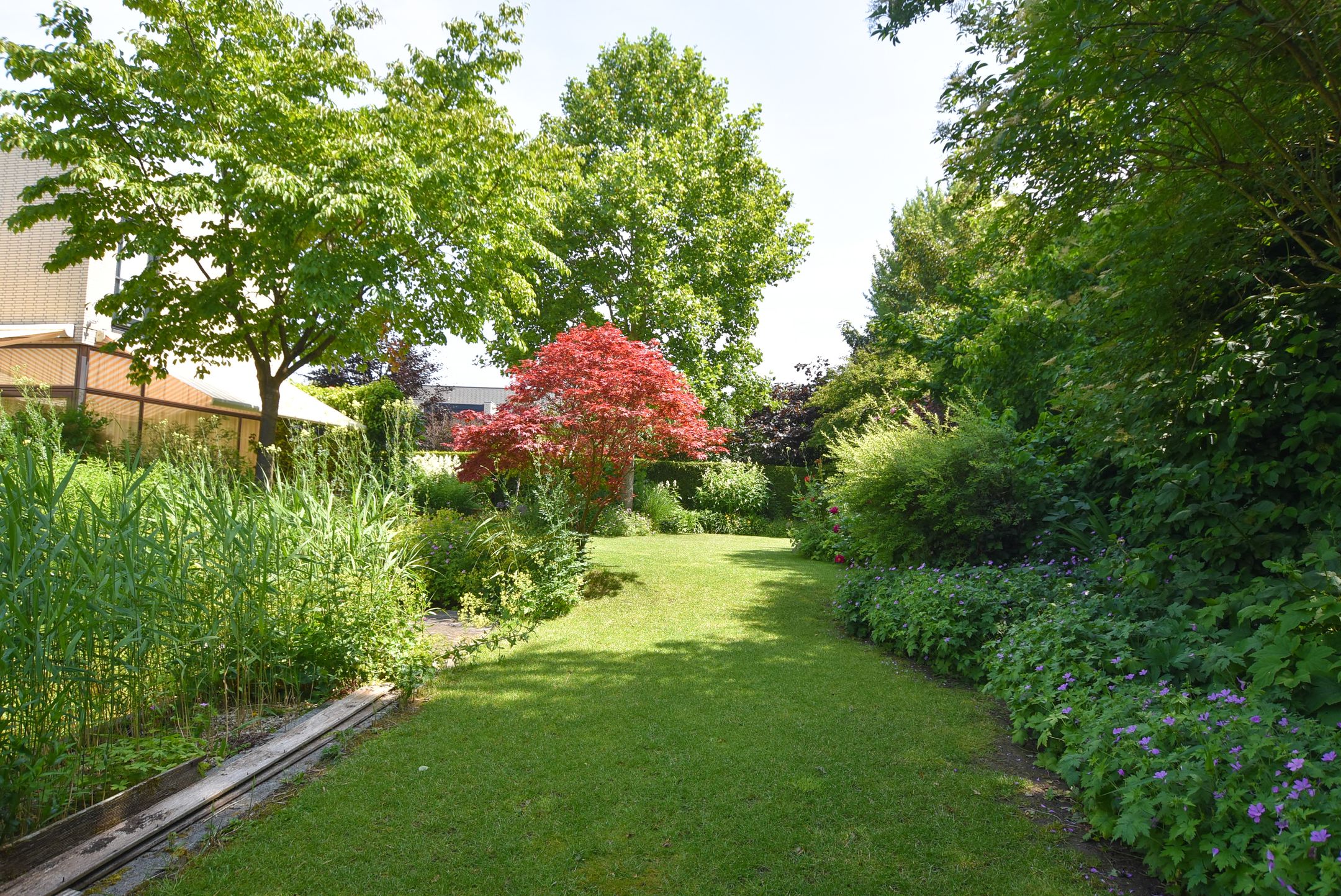 Foto 30 van Hollandse Hout 132