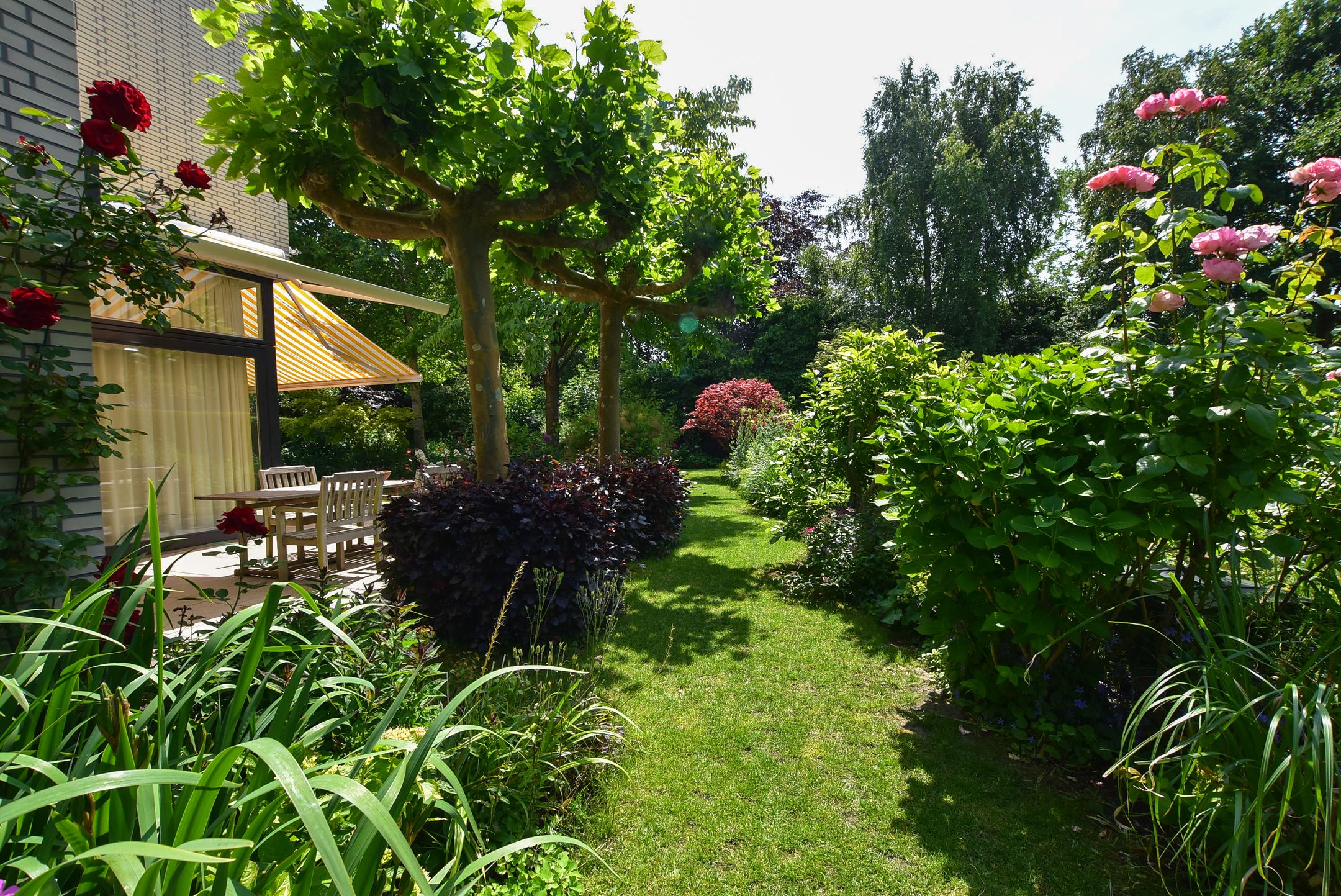 Foto 33 van Hollandse Hout 132