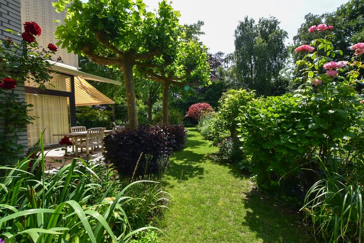 Photo 33 of Hollandse Hout 132