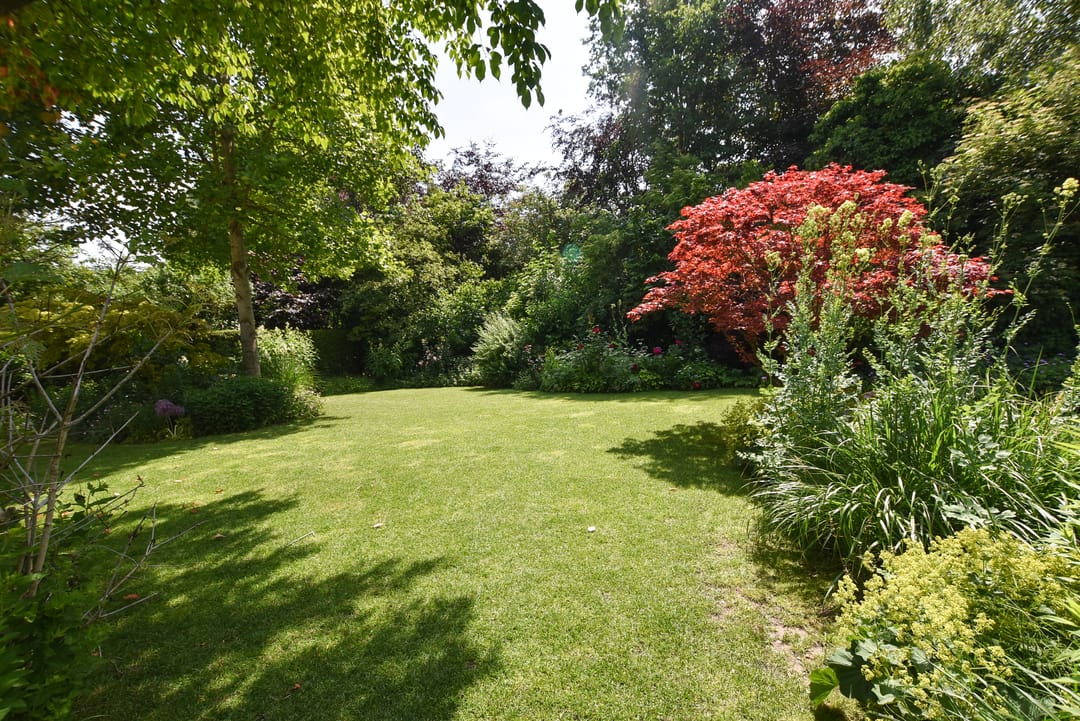 Foto 38 van Hollandse Hout 132