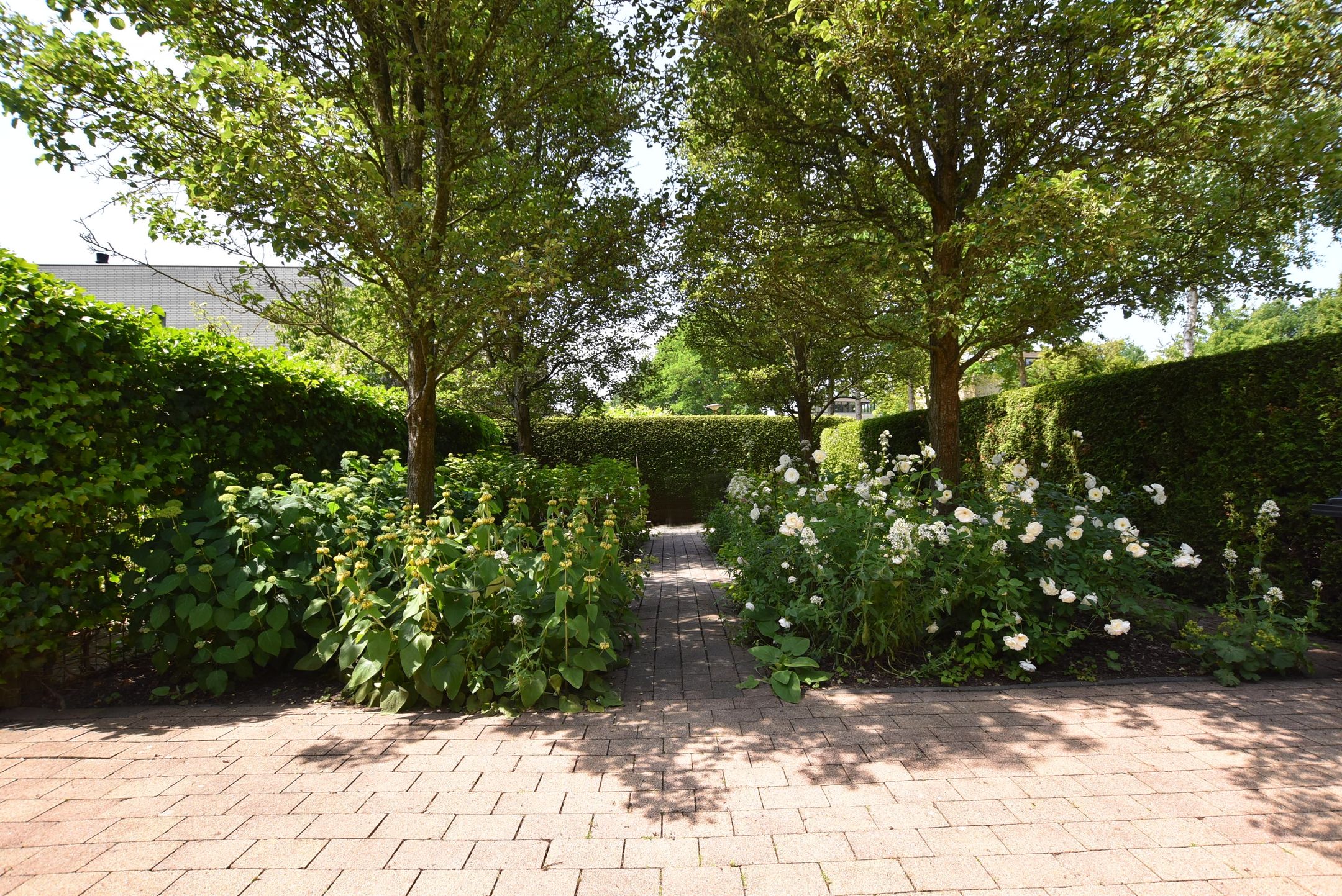 Foto 39 van Hollandse Hout 132